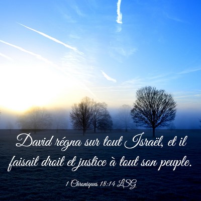 Picture 03 - 1 Chroniques 18:14 LSG - David régna sur tout Israël, et il faisait - Bible Verse Picture