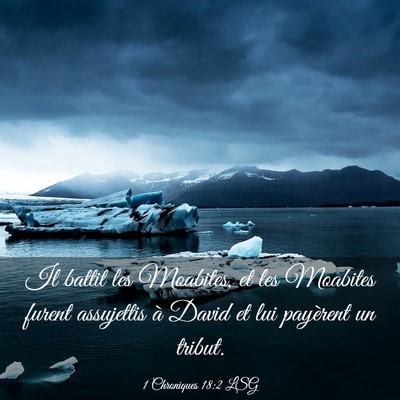Picture 03 - 1 Chroniques 18:2 LSG - Il battit les Moabites, et les Moabites furent - Bible Verse Picture