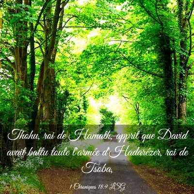 Picture 03 - 1 Chroniques 18:9 LSG - Thohu, roi de Hamath, apprit que David avait - Bible Verse Picture