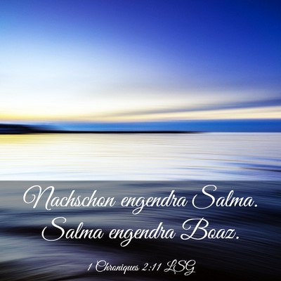 Picture 03 - 1 Chroniques 2:11 LSG - Nachschon engendra Salma. Salma engendra - Bible Verse Picture