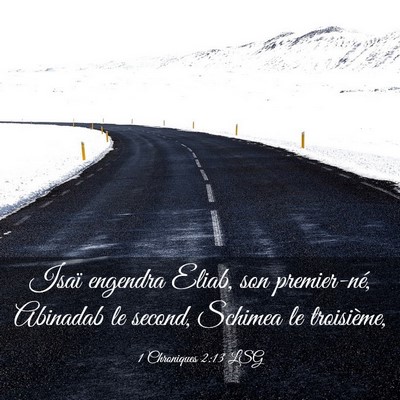 Picture 03 - 1 Chroniques 2:13 LSG - Isaï engendra Eliab, son premier-né, Abinadab - Bible Verse Picture