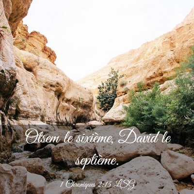 Picture 03 - 1 Chroniques 2:15 LSG - Otsem le sixième, David le - Bible Verse Picture
