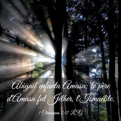 Picture 03 - 1 Chroniques 2:17 LSG - Abigaïl enfanta Amasa; le père d'Amasa fut - Bible Verse Picture
