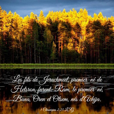 Picture 03 - 1 Chroniques 2:25 LSG - Les fils de Jerachmeel, premier-né de Hetsron, - Bible Verse Picture