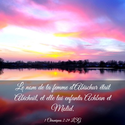 Picture 03 - 1 Chroniques 2:29 LSG - Le nom de la femme d'Abischur était Abichaïl, - Bible Verse Picture