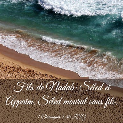 Picture 03 - 1 Chroniques 2:30 LSG - Fils de Nadab: Séled et Appaïm. Séled mourut - Bible Verse Picture