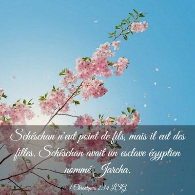 Picture 03 - 1 Chroniques 2:34 LSG - Schéschan n'eut point de fils, mais il eut des - Bible Verse Picture