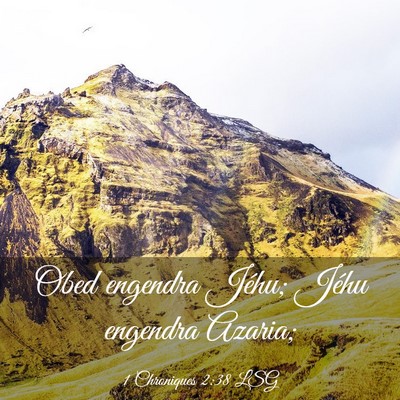 Picture 03 - 1 Chroniques 2:38 LSG - Obed engendra Jéhu; Jéhu engendra - Bible Verse Picture