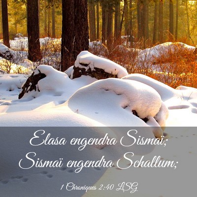 Picture 03 - 1 Chroniques 2:40 LSG - Elasa engendra Sismaï; Sismaï engendra - Bible Verse Picture