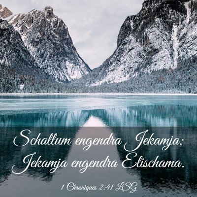 Picture 03 - 1 Chroniques 2:41 LSG - Schallum engendra Jekamja; Jekamja engendra - Bible Verse Picture