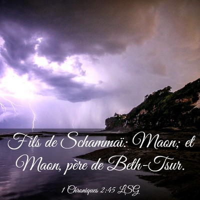Picture 03 - 1 Chroniques 2:45 LSG - Fils de Schammaï: Maon; et Maon, père de - Bible Verse Picture