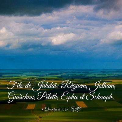 Picture 03 - 1 Chroniques 2:47 LSG - Fils de Jahdaï: Réguem, Jotham, Guéschan, - Bible Verse Picture