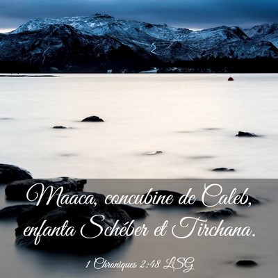 Picture 03 - 1 Chroniques 2:48 LSG - Maaca, concubine de Caleb, enfanta Schéber et - Bible Verse Picture