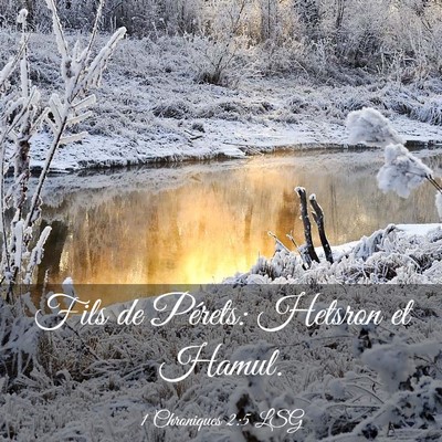 Picture 03 - 1 Chroniques 2:5 LSG - Fils de Pérets: Hetsron et - Bible Verse Picture
