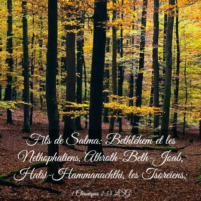 Picture 03 - 1 Chroniques 2:54 LSG - Fils de Salma: Bethléhem et les Nethophatiens, - Bible Verse Picture