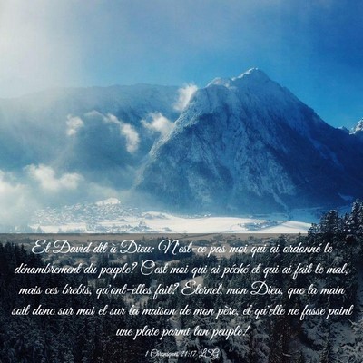 Picture 03 - 1 Chroniques 21:17 LSG - Et David dit à Dieu: N'est-ce pas moi qui ai - Bible Verse Picture