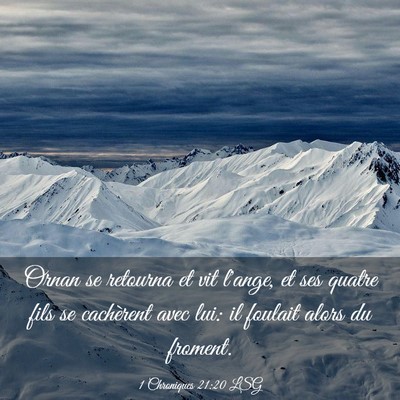 Picture 03 - 1 Chroniques 21:20 LSG - Ornan se retourna et vit l'ange, et ses quatre - Bible Verse Picture