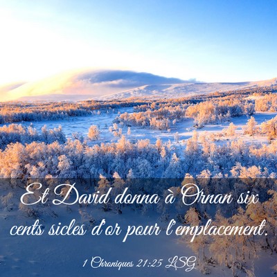 Picture 03 - 1 Chroniques 21:25 LSG - Et David donna à Ornan six cents sicles d'or - Bible Verse Picture