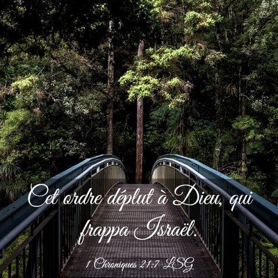 Picture 03 - 1 Chroniques 21:7 LSG - Cet ordre déplut à Dieu, qui frappa - Bible Verse Picture
