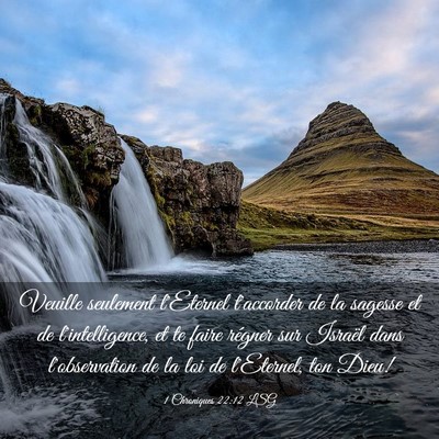 Picture 03 - 1 Chroniques 22:12 LSG - Veuille seulement l'Eternel t'accorder de la - Bible Verse Picture