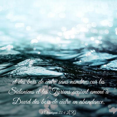 Picture 03 - 1 Chroniques 22:4 LSG - et des bois de cèdre sans nombre, car les - Bible Verse Picture