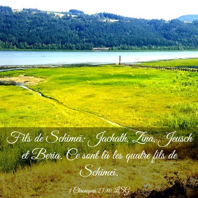 Picture 03 - 1 Chroniques 23:10 LSG - Fils de Schimeï: Jachath, Zina, Jeusch et Beria. - Bible Verse Picture