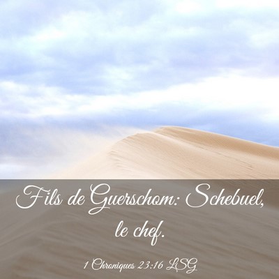 Picture 03 - 1 Chroniques 23:16 LSG - Fils de Guerschom: Schebuel, le - Bible Verse Picture