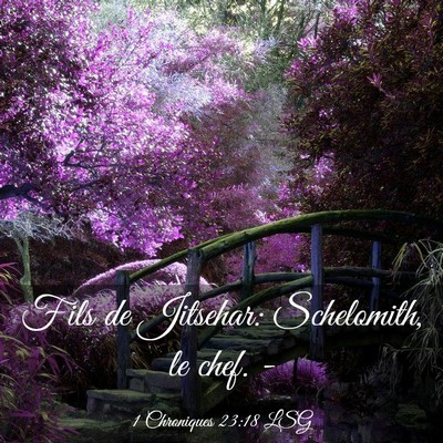Picture 03 - 1 Chroniques 23:18 LSG - Fils de Jitsehar: Schelomith, le chef. - Bible Verse Picture