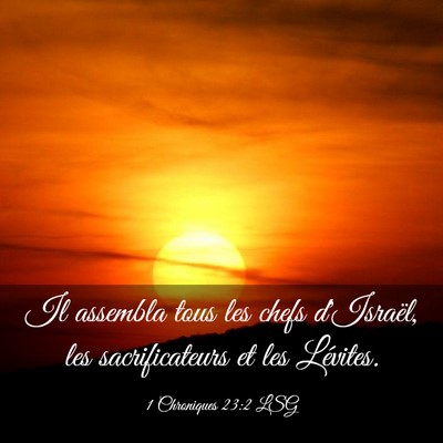 Picture 03 - 1 Chroniques 23:2 LSG - Il assembla tous les chefs d'Israël, les - Bible Verse Picture