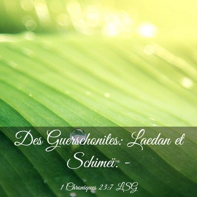 Picture 03 - 1 Chroniques 23:7 LSG - Des Guerschonites: Laedan et Schimeï. - Bible Verse Picture