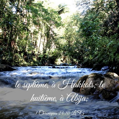 Picture 03 - 1 Chroniques 24:10 LSG - le septième, à Hakkots; le huitième, à - Bible Verse Picture