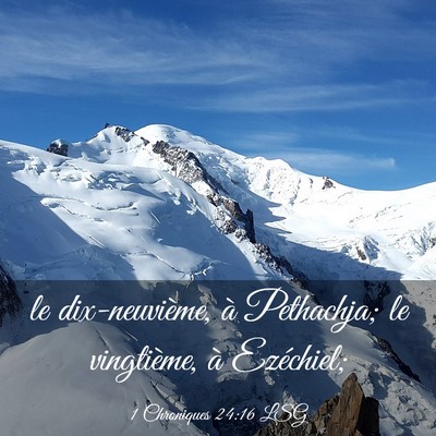 Picture 03 - 1 Chroniques 24:16 LSG - le dix-neuvième, à Pethachja; le vingtième, à - Bible Verse Picture