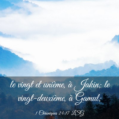 Picture 03 - 1 Chroniques 24:17 LSG - le vingt et unième, à Jakin; le - Bible Verse Picture
