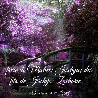 Picture 03 - 1 Chroniques 24:25 LSG - frère de Michée: Jischija; des fils de - Bible Verse Picture