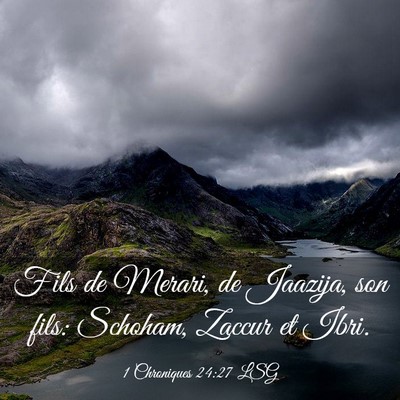Picture 03 - 1 Chroniques 24:27 LSG - Fils de Merari, de Jaazija, son fils: Schoham, - Bible Verse Picture