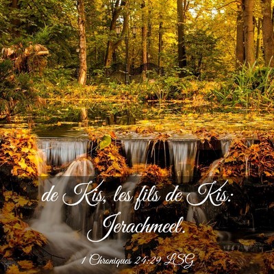 Picture 03 - 1 Chroniques 24:29 LSG - de Kis, les fils de Kis: - Bible Verse Picture