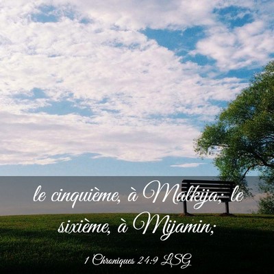 Picture 03 - 1 Chroniques 24:9 LSG - le cinquième, à Malkija; le sixième, à - Bible Verse Picture