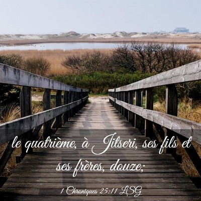 Picture 03 - 1 Chroniques 25:11 LSG - le quatrième, à Jitseri, ses fils et ses - Bible Verse Picture