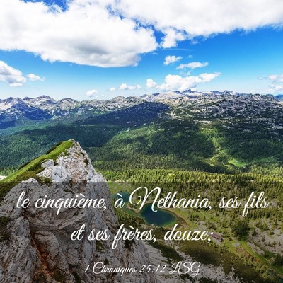 Picture 03 - 1 Chroniques 25:12 LSG - le cinquième, à Nethania, ses fils et ses - Bible Verse Picture