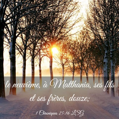 Picture 03 - 1 Chroniques 25:16 LSG - le neuvième, à Matthania, ses fils et ses - Bible Verse Picture