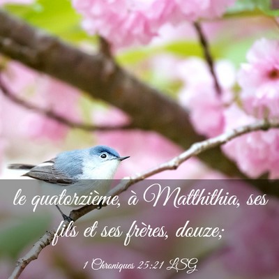 Picture 03 - 1 Chroniques 25:21 LSG - le quatorzième, à Matthithia, ses fils et ses - Bible Verse Picture