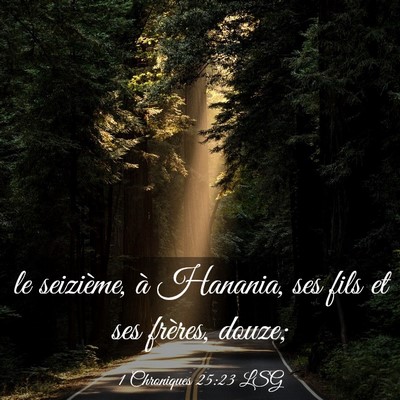 Picture 03 - 1 Chroniques 25:23 LSG - le seizième, à Hanania, ses fils et ses - Bible Verse Picture
