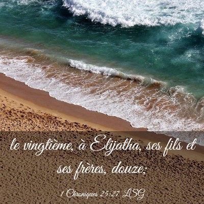 Picture 03 - 1 Chroniques 25:27 LSG - le vingtième, à Elijatha, ses fils et ses - Bible Verse Picture