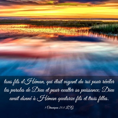 Picture 03 - 1 Chroniques 25:5 LSG - tous fils d'Héman, qui était voyant du roi pour - Bible Verse Picture