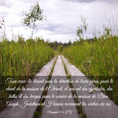 Picture 03 - 1 Chroniques 25:6 LSG - Tous ceux-là étaient sous la direction de leurs - Bible Verse Picture