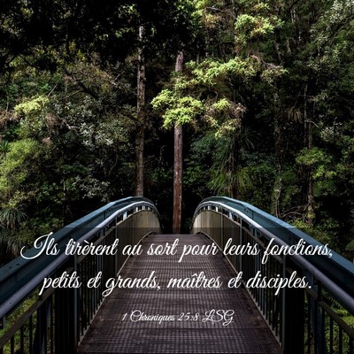 Picture 03 - 1 Chroniques 25:8 LSG - Ils tirèrent au sort pour leurs fonctions, - Bible Verse Picture
