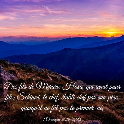 Picture 03 - 1 Chroniques 26:10 LSG - Des fils de Merari: Hosa, qui avait pour fils: - Bible Verse Picture