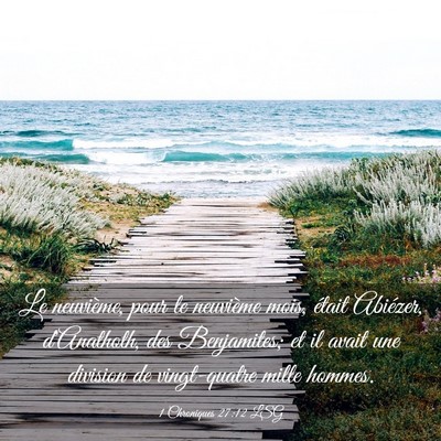 Picture 03 - 1 Chroniques 27:12 LSG - Le neuvième, pour le neuvième mois, était - Bible Verse Picture