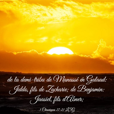 Picture 03 - 1 Chroniques 27:21 LSG - de la demi-tribu de Manassé en Galaad: Jiddo, - Bible Verse Picture