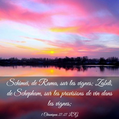 Picture 03 - 1 Chroniques 27:27 LSG - Schimeï, de Rama, sur les vignes; Zabdi, de - Bible Verse Picture